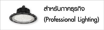 สำหรับภาคธุรกิจ (Professional Lighting)
